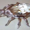 Swarovski_Beetle_bottle_opener_rhodium_v1_smooth | The Crystal Lodge