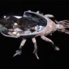 Swarovski_Beetle_bottle_opener_rhodium_v1_smooth | The Crystal Lodge