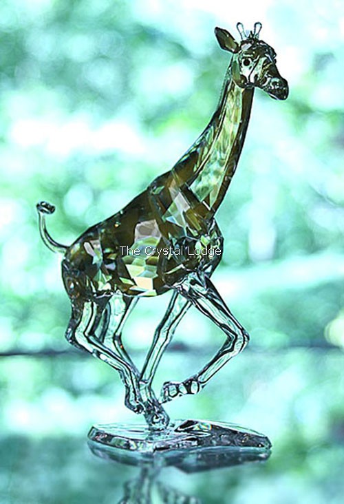 Swarovski_Giraffe_running_935896 | The Crystal Lodge