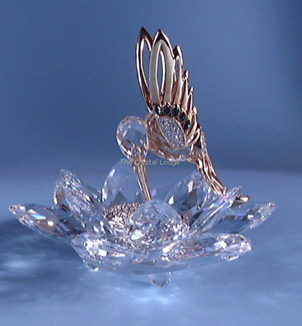 Swarovski_in_flight_hummingbird_gold_usa_7552NR10 | The Crystal Lodge