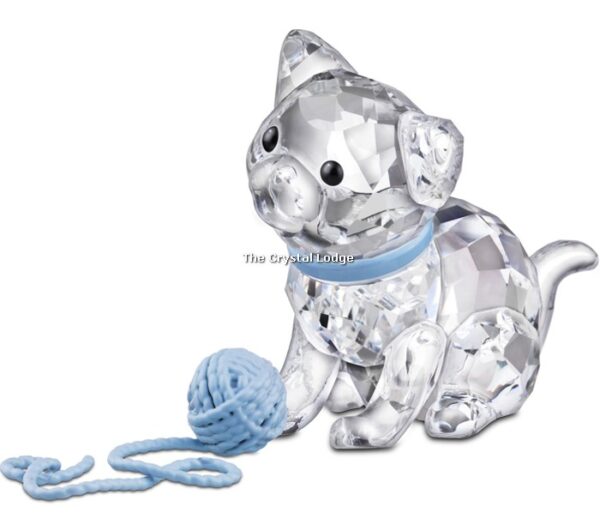 Swarovski_kitten_sitting_blue_collar_and_wool_1193540 | The Crystal Lodge