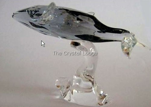 Swarovski_2012_annual_edition_companion_young_humpback_whale_1096741 | The Crystal Lodge
