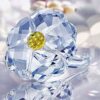 Swarovski_2017_SCS_Wild_flower_5244642 | The Crystal Lodge