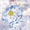 Swarovski_2017_SCS_renew_wild_flower_5244642 | The Crystal Lodge