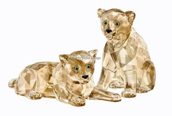 Swarovski_2019_SCS_Leopard_cubs_5428542 | The Crystal Lodge