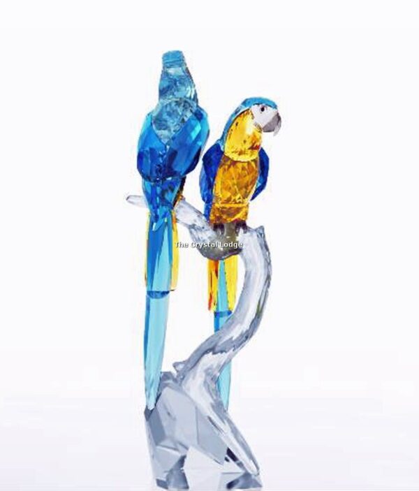 Swarovski_Paradise_Macaws_5301566 | The Crystal Lodge