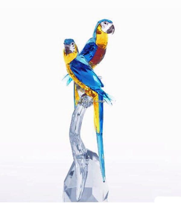Swarovski_Paradise_Macaws_5301566 | The Crystal Lodge