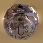 Swarovski_SCS_1987_Charter_member_Paperweight | The Crystal Lodge