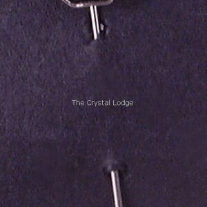 Swarovski_SCS_1992_member_stick_pin_black_swan | The Crystal Lodge