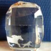 Swarovski_SCS_renewal_horse_paperweight_5080540 | The Crystal Lodge