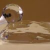 Swarovski_mallard_duck_large_012723 | The Crystal Lodge