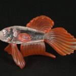 Swarovski_siamese_fighting_fish_red_660941 | The Crystal Lodge