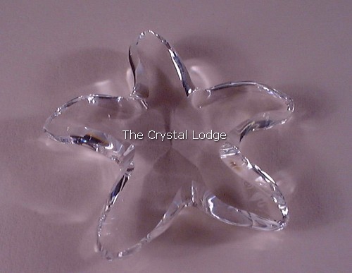 Swarovski_starfish_191690 | The Crystal Lodge