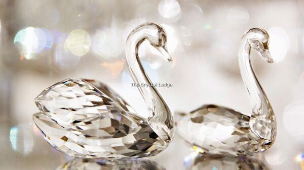 Swarovski_swan_couple_5135936 | The Crystal Lodge