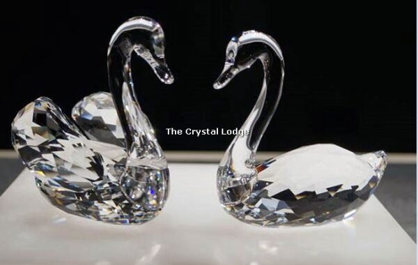 Swarovski_swan_couple_5135936 | The Crystal Lodge