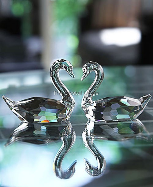 Swarovski_swans_flirting_couple_837154 | The Crystal Lodge