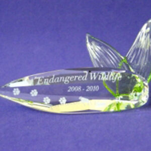 Swarovski SCS member items - Plaques and stands for annual editions
