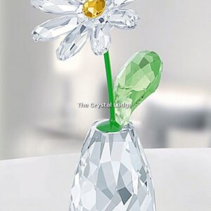 Swarovski_Flower_Dreams_Daisy_5254328 | The Crystal Lodge