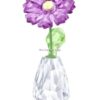 SWAROVSKI FLOWER DREAMS - GERBERA 5439225 - The Crystal Lodge
