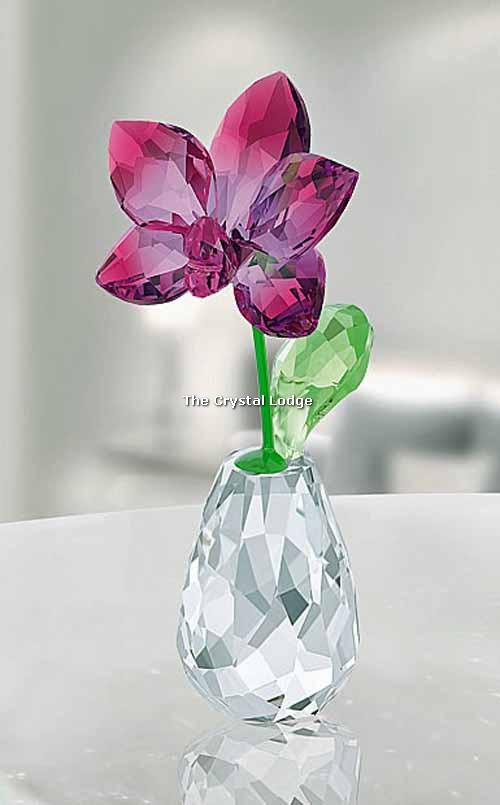 Swarovski_Flower_Dreams_Orchid_5254318 | The Crystal Lodge