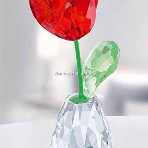 Swarovski_Flower_Dreams_Red_Rose_5254323 | The Crystal Lodge