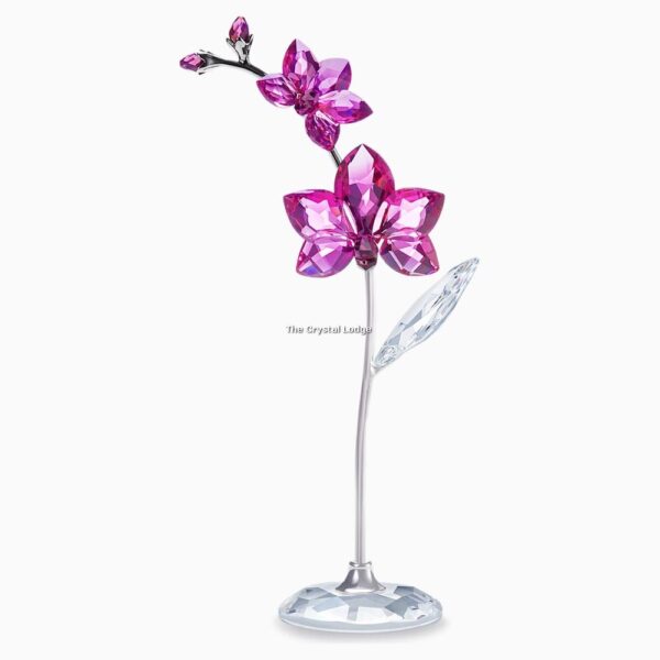 Swarovski_Flower_dreams_orchid_large_5490755 | The Crystal Lodge