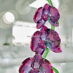 Swarovski_Paradise_Orchids_5243561 | The Crystal Lodge