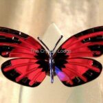 Swarovski_Paradise_bugs_Object_butterfly_Adena_light_siam_622737 | The Crystal Lodge