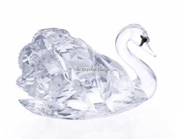 Swarovski_Swan_Graceful_2018_issue_5397895 | The Crystal Lodge