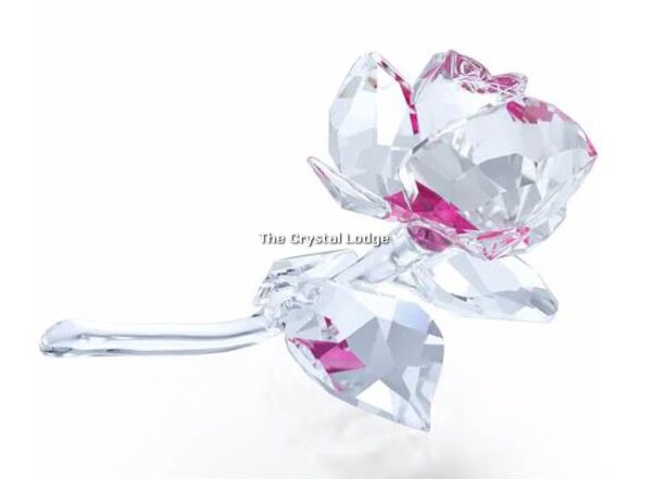 Swarovski_blossoming_rose_2017_5248878 | The Crystal Lodge