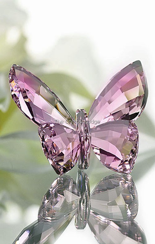 Swarovski_butterfly_rosaline_1182461 | The Crystal Lodge