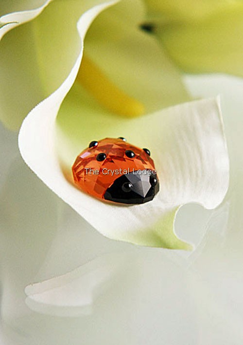Swarovski_lucky_ladybird_ladybug_1054587 | The Crystal Lodge