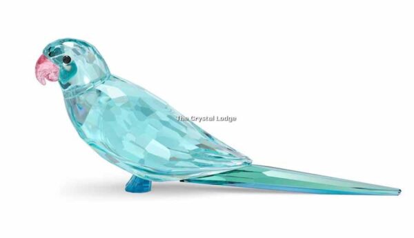 Swarovski_Jungle_Beats_Blue_Parakeet_Paco_5574519 | The Crystal Lodge