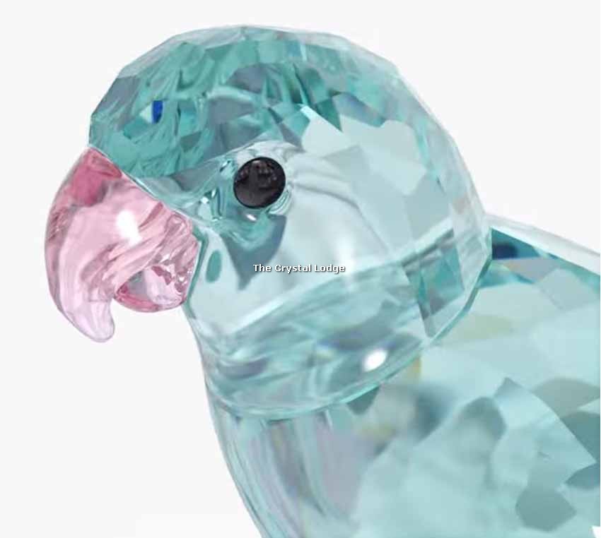 SWAROVSKI JUNGLE BEATS BLUE PARAKEET PACO 5574519 (For information only –  not for sale from us until officially retired by Swarovski) - The Crystal  Lodge | Specialists in retired Swarovski crystal | UK\'s No 1