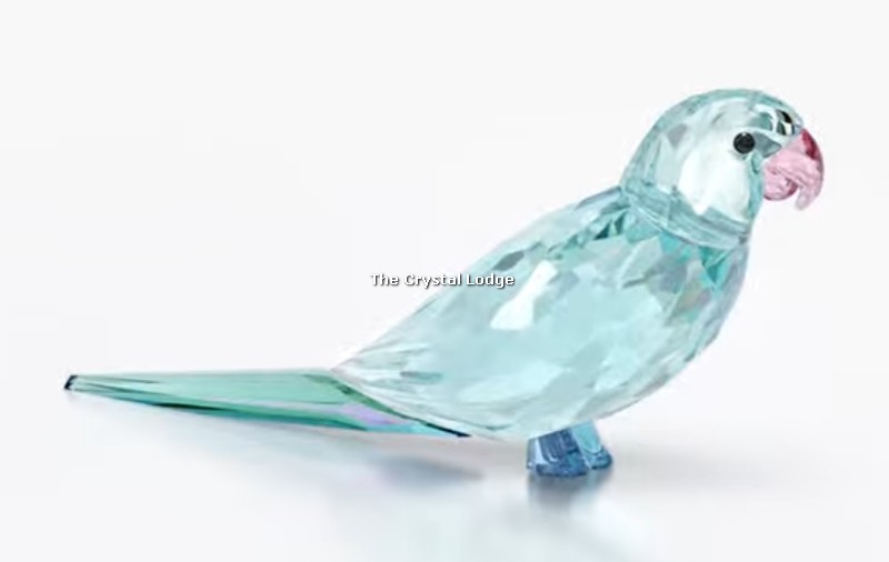 SWAROVSKI JUNGLE BEATS BLUE PARAKEET retired | UK\'s information No The sale Specialists 1 from not crystal Crystal officially – only retired Lodge (For PACO in Swarovski 5574519 until for by us | Swarovski) 