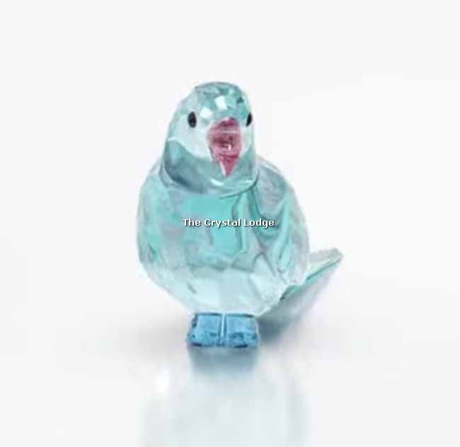 SWAROVSKI JUNGLE BEATS BLUE PARAKEET PACO 5574519 (For information only –  not for sale from us until officially retired by Swarovski) - The Crystal  Lodge | Specialists in retired Swarovski crystal | UK\'s No 1