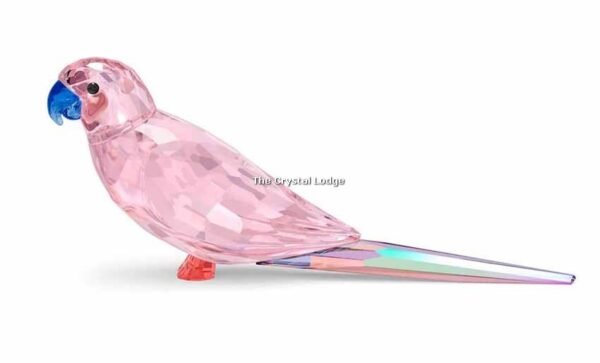 Swarovski_Jungle_Beats_Pink_Parakeet_Cha_Cha_5557848 | The Crystal Lodge