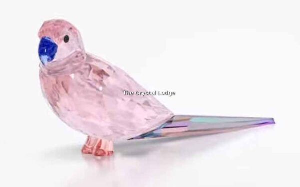 Swarovski_Jungle_Beats_Pink_Parakeet_Cha_Cha_5557848 | The Crystal Lodge