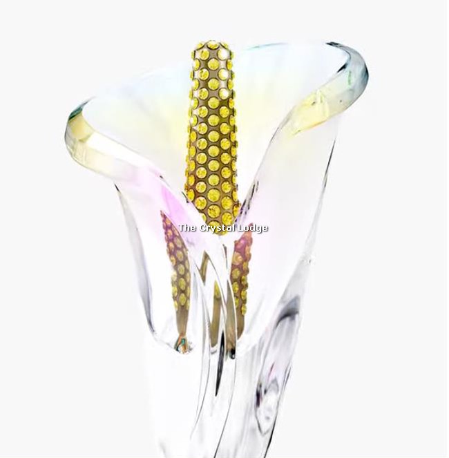 SWAROVSKI GARDEN TALES - CALLA LILY 5619229 (For information only – not  available from us until officially retired by Swarovski) - The Crystal  Lodge | Specialists in retired Swarovski crystal | UK's No 1
