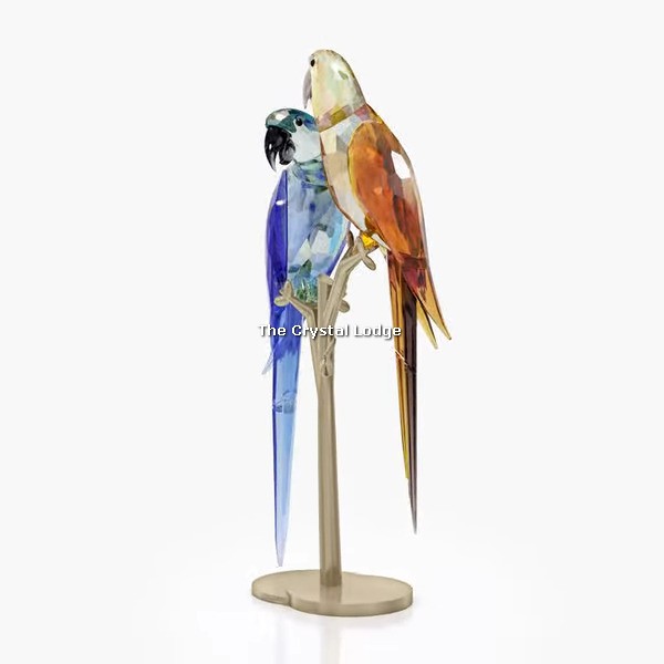 Swarovski_Jungle_Beats_Parrot_couple_Bell_and_Brio_5619218 | The Crystal Lodge