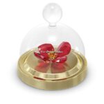 Swarovski_Garden_Tales_red_Poppy_bell_jar_small_5646022_1_WM Swarovski_Garden_Tales_red_Poppy_bell_jar_small_5646022 | The Crystal Lodge