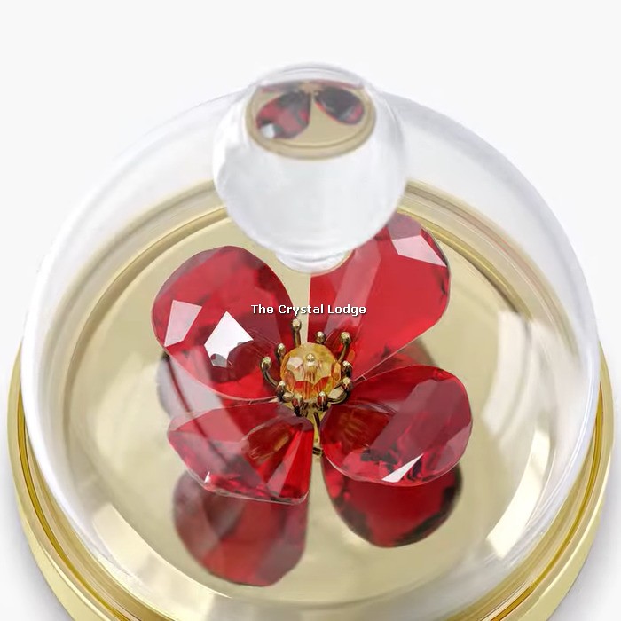 SWAROVSKI GARDEN TALES - RED POPPY BELL JAR, SMALL 5646022 - The Crystal  Lodge | Specialists in retired Swarovski crystal | UK's No 1