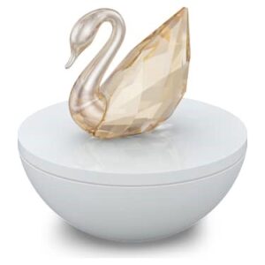 Swarovski_exclusive_keepsake_decorative _box_5698251 | The Crystal Lodge