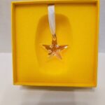 Swarovski_2024_SCS_loyalty_star_ornament_5691250_1 Swarovski_2024_SCS_loyalty_star_ornament_5691250 | The Crystal Lodge