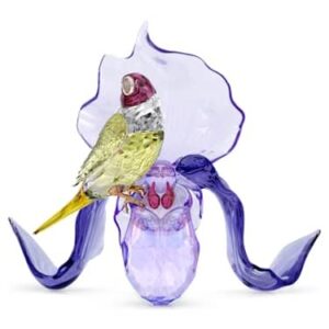 Swarovski_Idyllia_gouldian_finch_and_orchid_5675211 | The Crystal Lodge