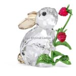 Swarovski_Idyllia_Rabbit_and_raspberries_5702437_1_WM Swarovski_Idyllia_Rabbit_and_raspberries_5702437 | The Crystal Lodge