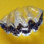 Swarovski_2025_SCS_loyalty_shell_oyster_5701499 | The Crystal Lodge