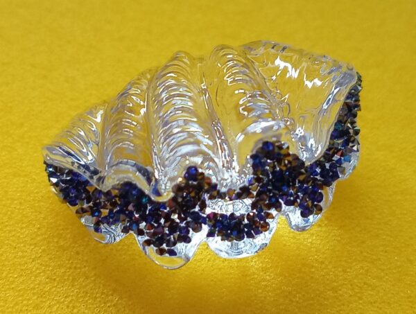 Swarovski_2025_SCS_loyalty_shell_oyster_5701499 | The Crystal Lodge