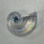 Swarovski_2025_SCS_natuilus_shell_GWP_5688672 | The Crystal Lodge