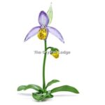 Swarovski_Florere_lady_slipper_orchid_5721548 | The Crystal Lodge